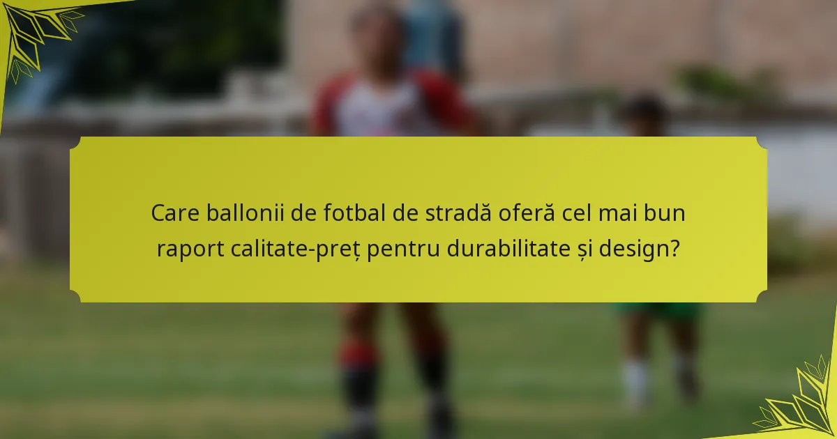 Care ballonii de fotbal de stradă oferă cel mai bun raport calitate-preț pentru durabilitate și design?