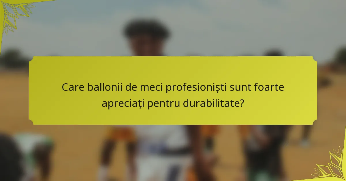 Care ballonii de meci profesioniști sunt foarte apreciați pentru durabilitate?