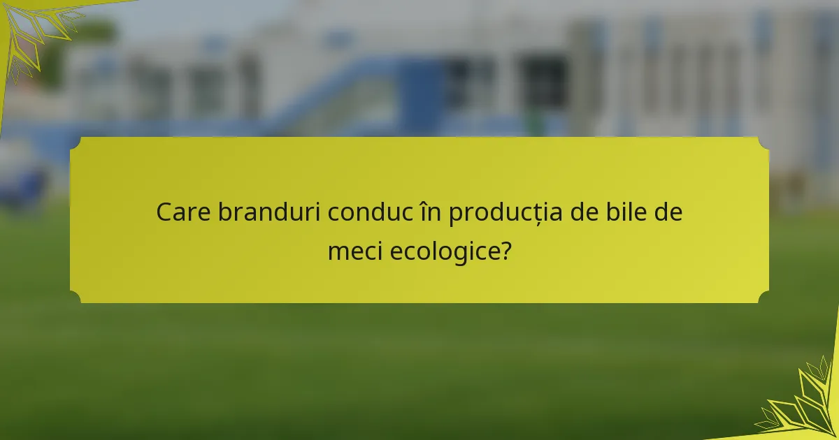 Care branduri conduc în producția de bile de meci ecologice?