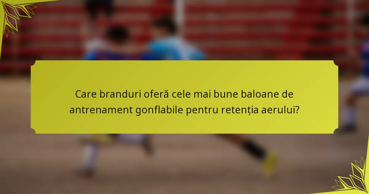 Care branduri oferă cele mai bune baloane de antrenament gonflabile pentru retenția aerului?
