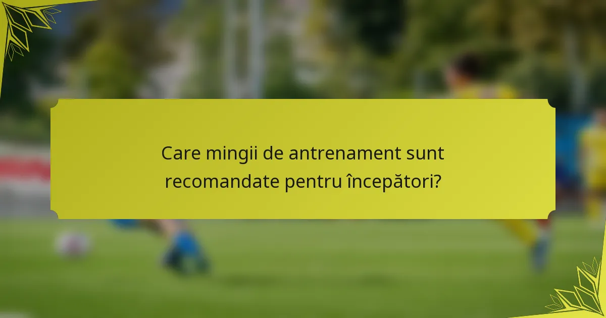 Care mingii de antrenament sunt recomandate pentru începători?