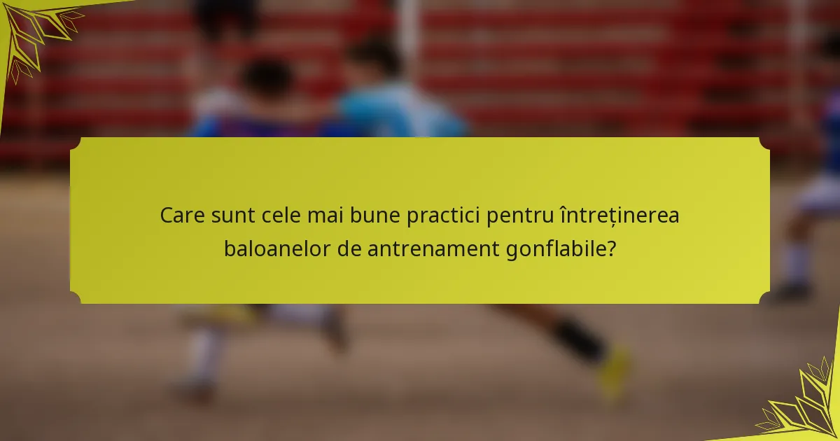Care sunt cele mai bune practici pentru întreținerea baloanelor de antrenament gonflabile?