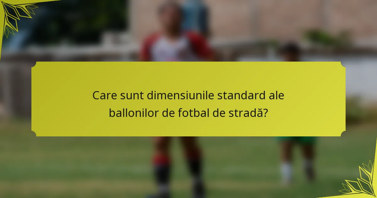 Care sunt dimensiunile standard ale ballonilor de fotbal de stradă?