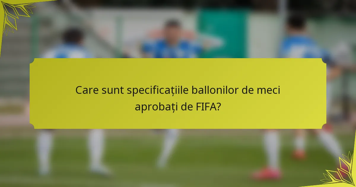 Care sunt specificațiile ballonilor de meci aprobați de FIFA?