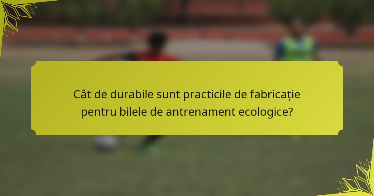 Cât de durabile sunt practicile de fabricație pentru bilele de antrenament ecologice?