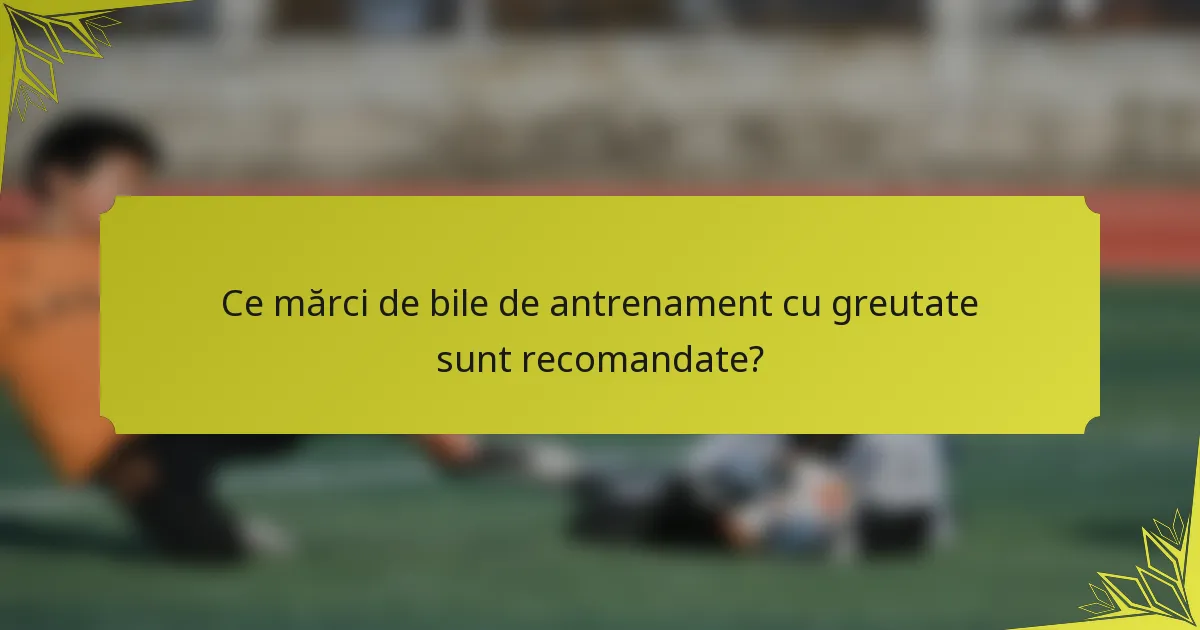 Ce mărci de bile de antrenament cu greutate sunt recomandate?
