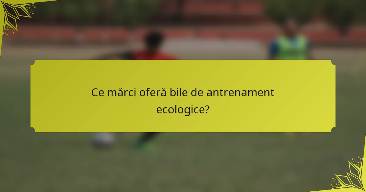 Ce mărci oferă bile de antrenament ecologice?