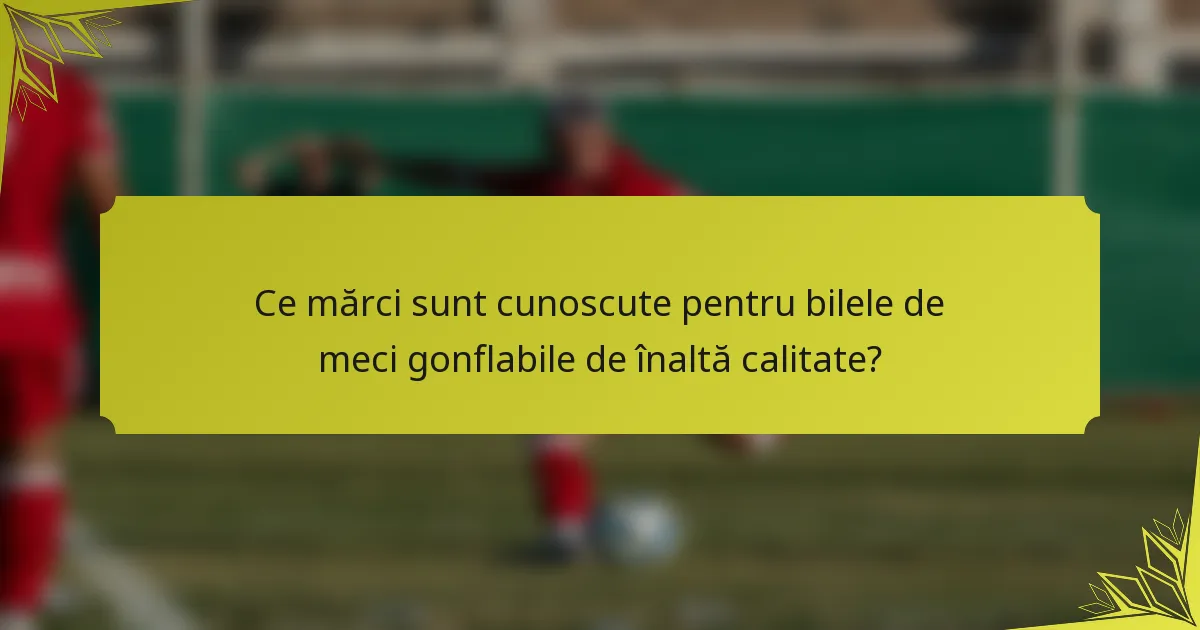 Ce mărci sunt cunoscute pentru bilele de meci gonflabile de înaltă calitate?