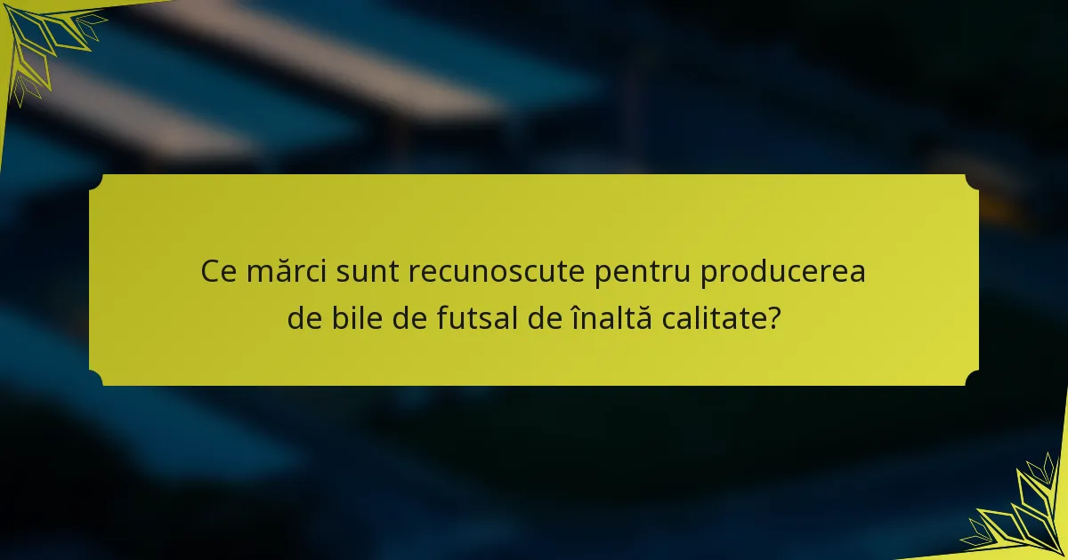 Ce mărci sunt recunoscute pentru producerea de bile de futsal de înaltă calitate?