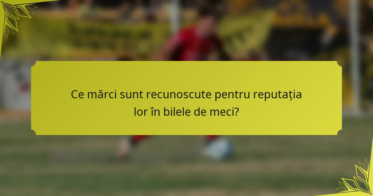 Ce mărci sunt recunoscute pentru reputația lor în bilele de meci?