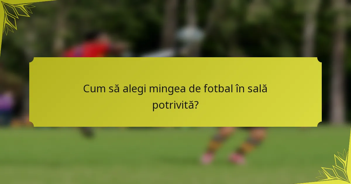 Cum să alegi mingea de fotbal în sală potrivită?