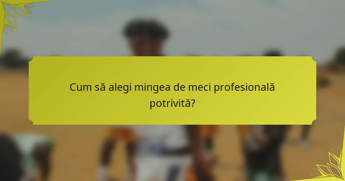 Cum să alegi mingea de meci profesională potrivită?