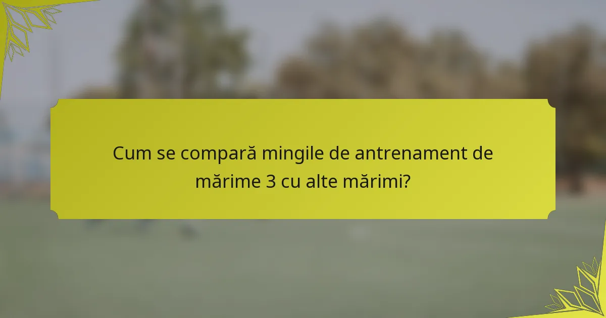 Cum se compară mingile de antrenament de mărime 3 cu alte mărimi?