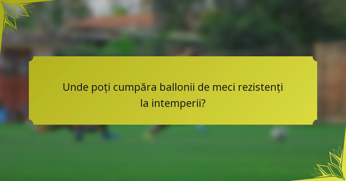 Unde poți cumpăra ballonii de meci rezistenți la intemperii?